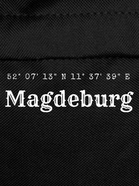Magdeburg coordinates