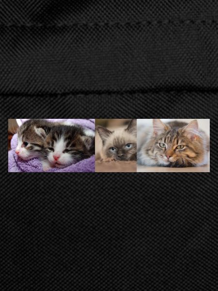 Chats