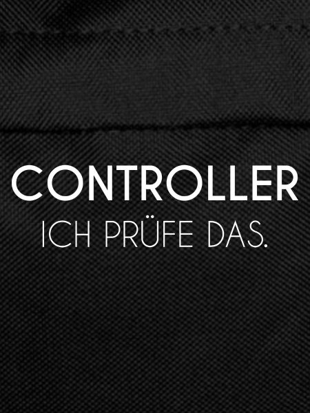 Controller Buchhaltung