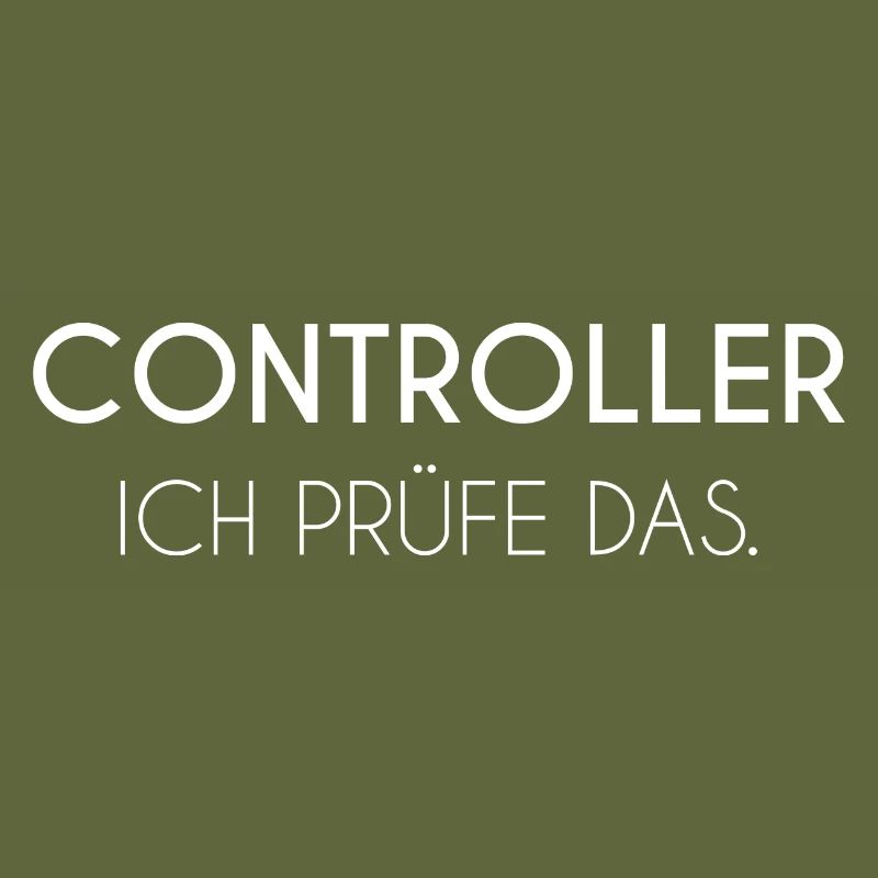 Controller Buchhaltung
