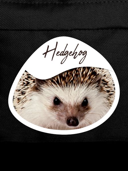 Hedgehog