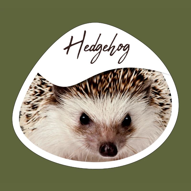 Hedgehog