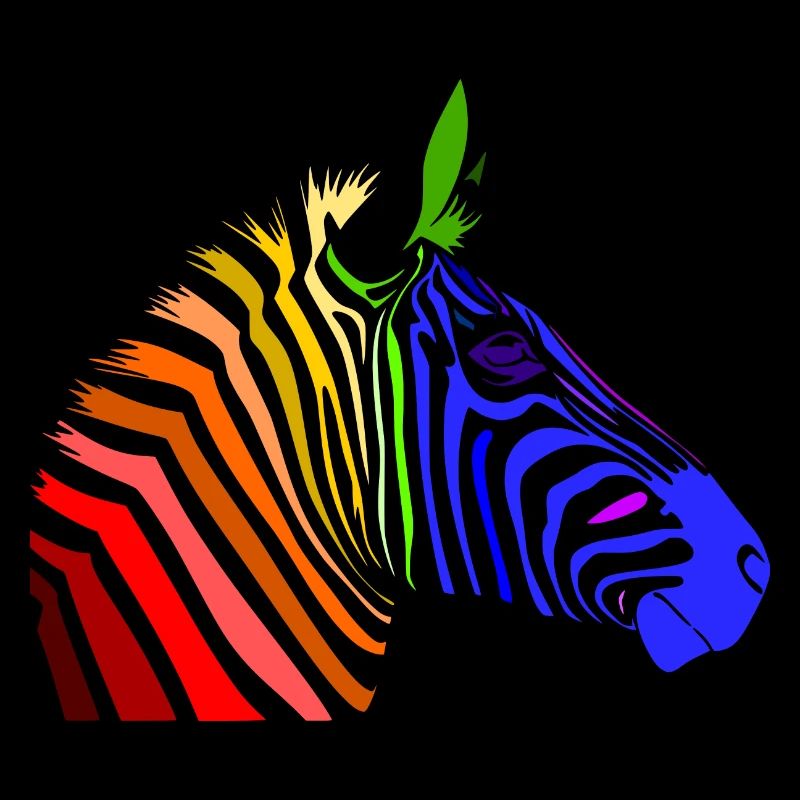 Zebra; Punk Zebra; Rainbow Zebra