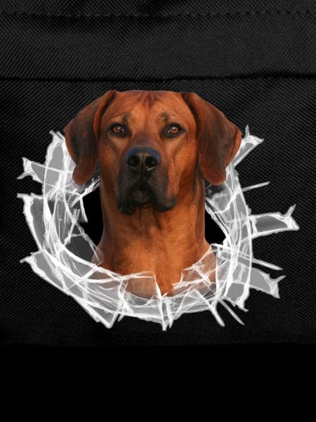 Rhodesian Ridgeback auf Glas