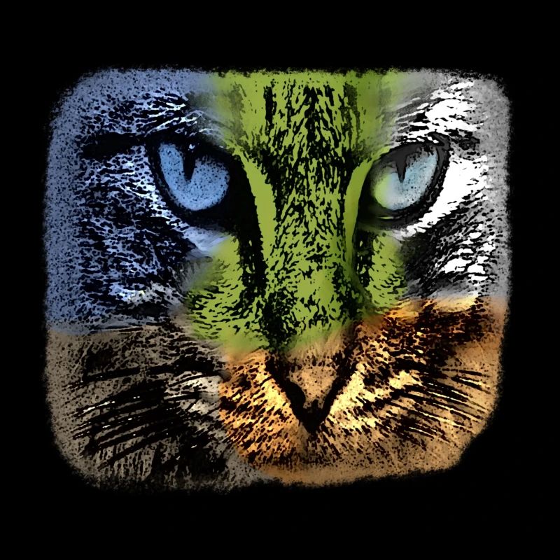 Buntes Katzengesicht, individualistisch