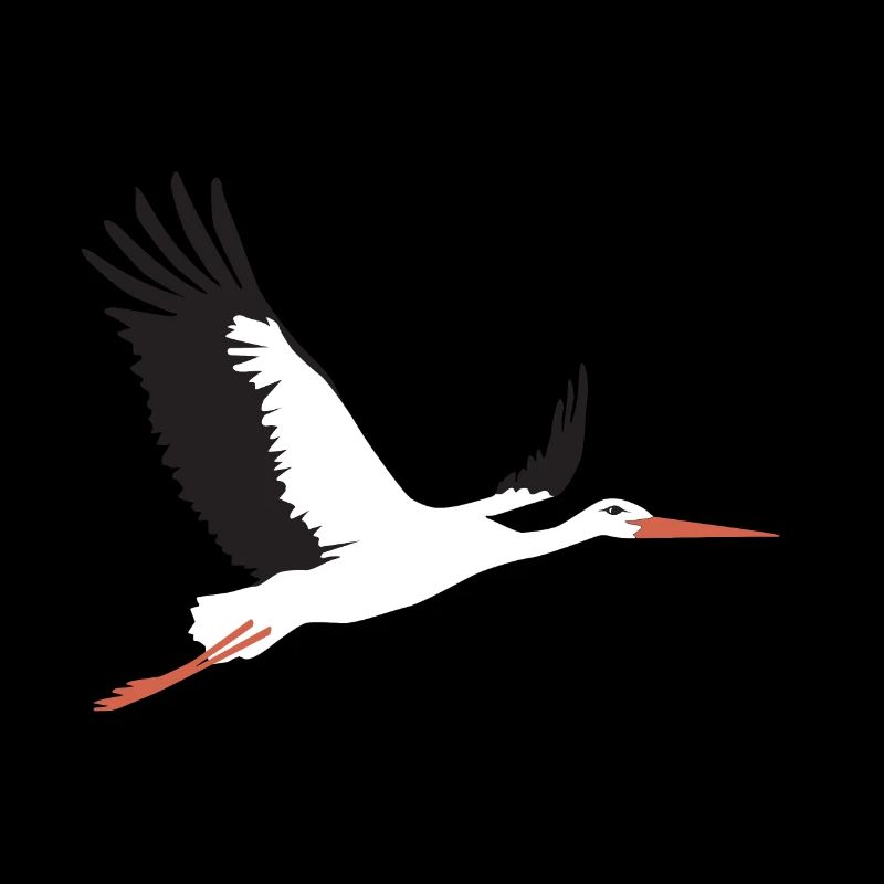 Storch fliegt