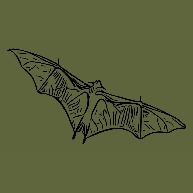 Fruit bat bat - vector style