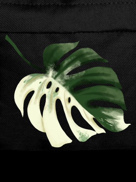 Monstera Premium Design