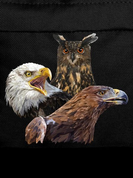 Eule und Adler