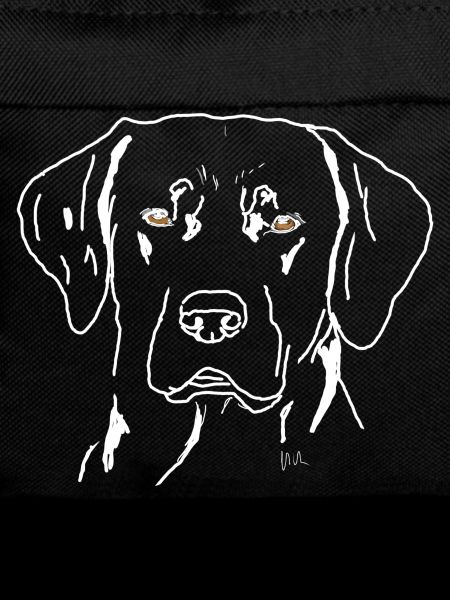 Labrador
