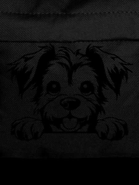 Terrier