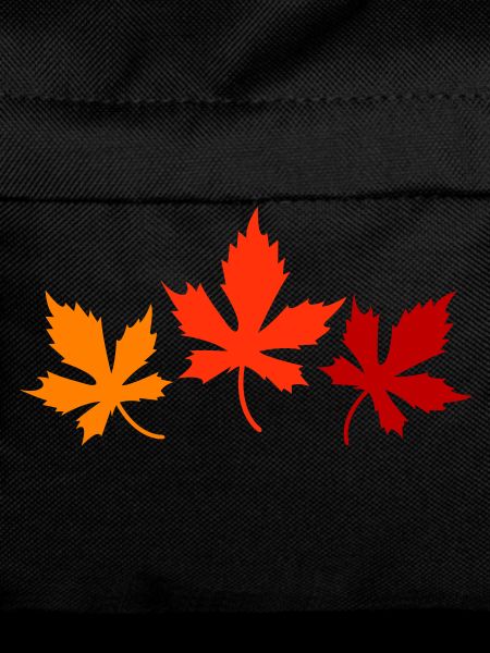 feuilles