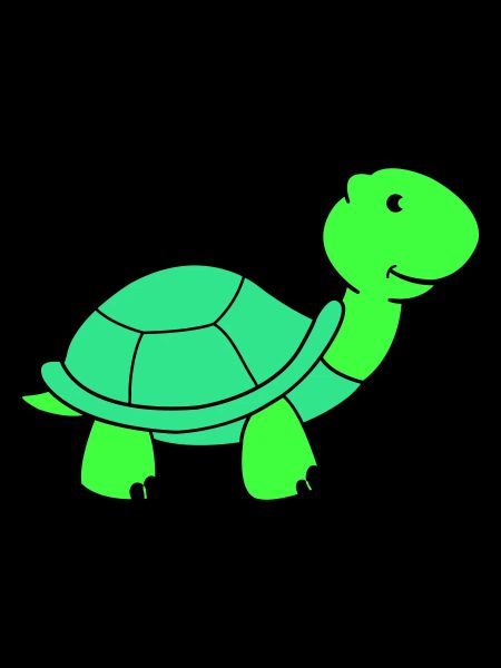 turtle