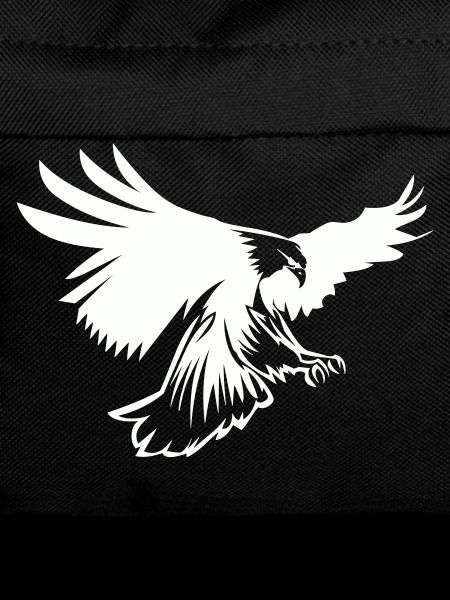 Aigle