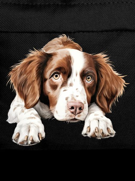 Brittany Dog
