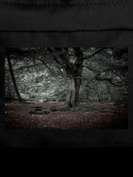 In the Fairytale Forest