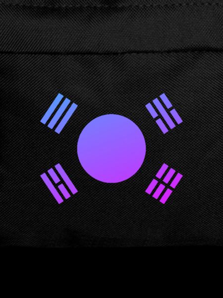 Kpop Style Korea Flag