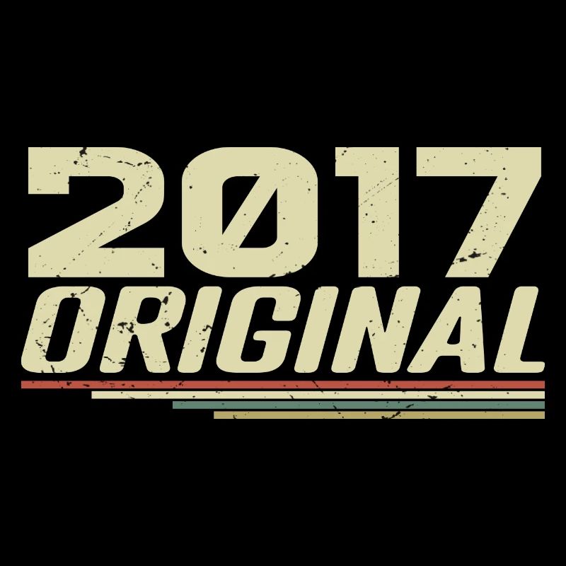 Born in 2017 Vintage 2017 Retro Birthday 2017