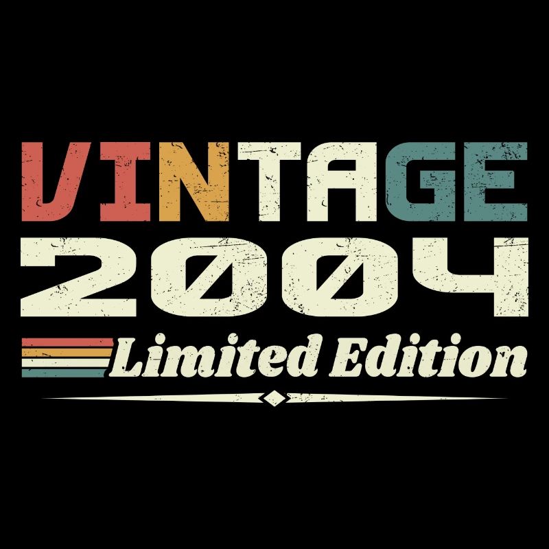 Vintage 2004 Gift 2004 Birthday 2004 Retro