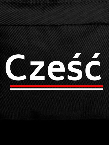 Hello - welcome in Polish