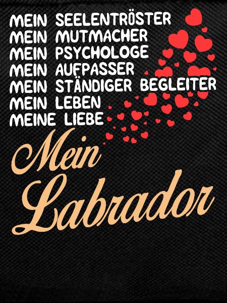 Labrador - Mein