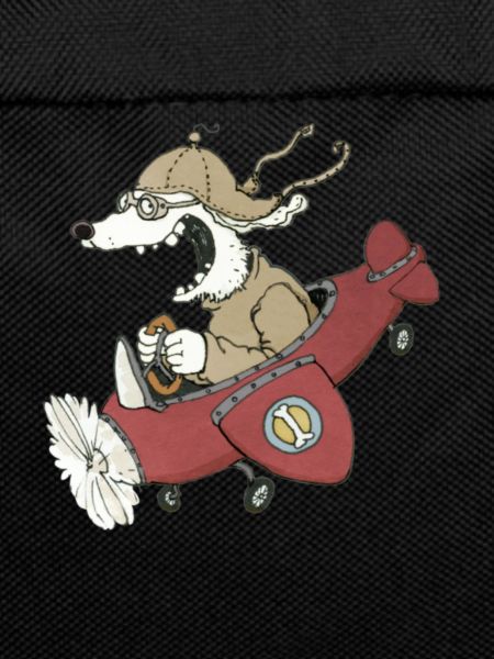 Flughund