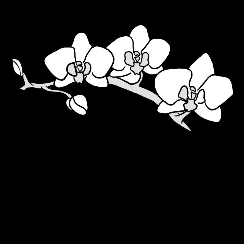 Orchidee