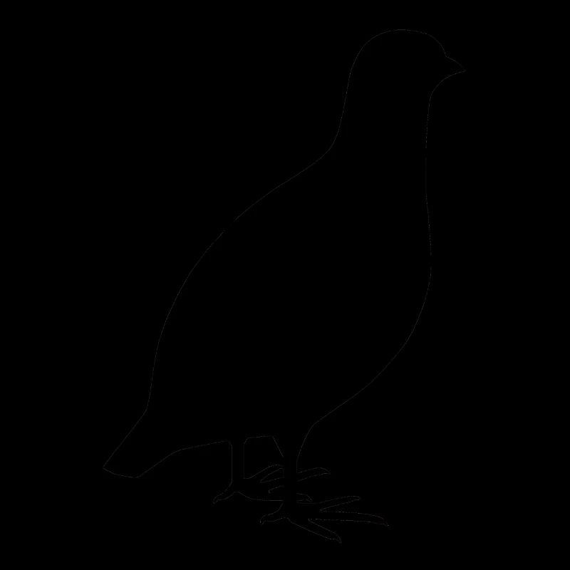 Perdrix