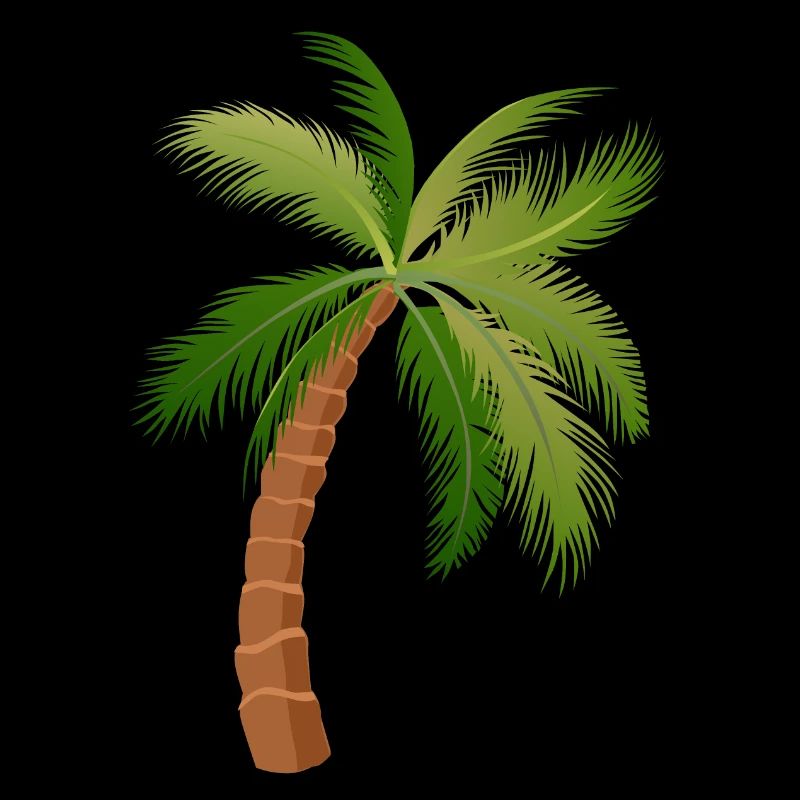 palm tree palm palms 1
