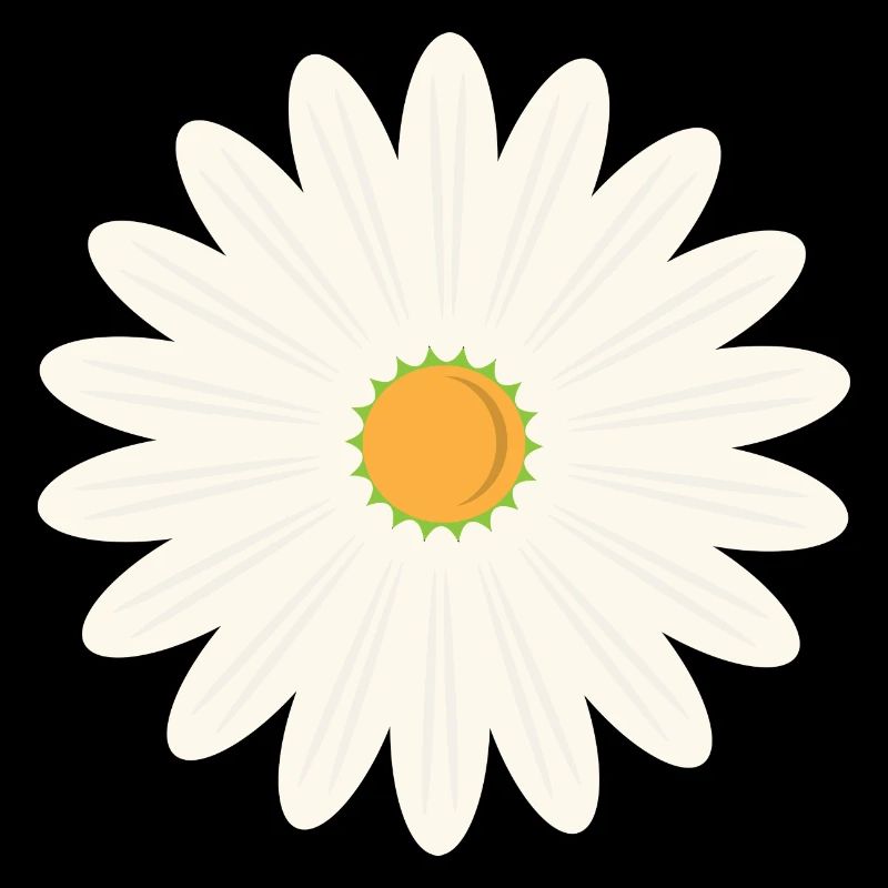 Margeritenblüte
