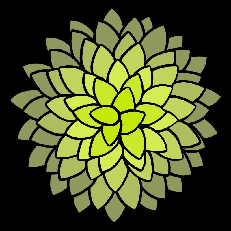 MUMS Fleurs Fleurs Fleurs