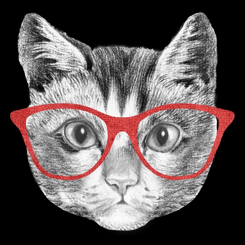 Katze mit Brille Kätzchen Katzendame