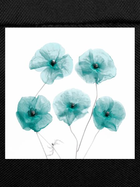 Poppy Flowers White Green