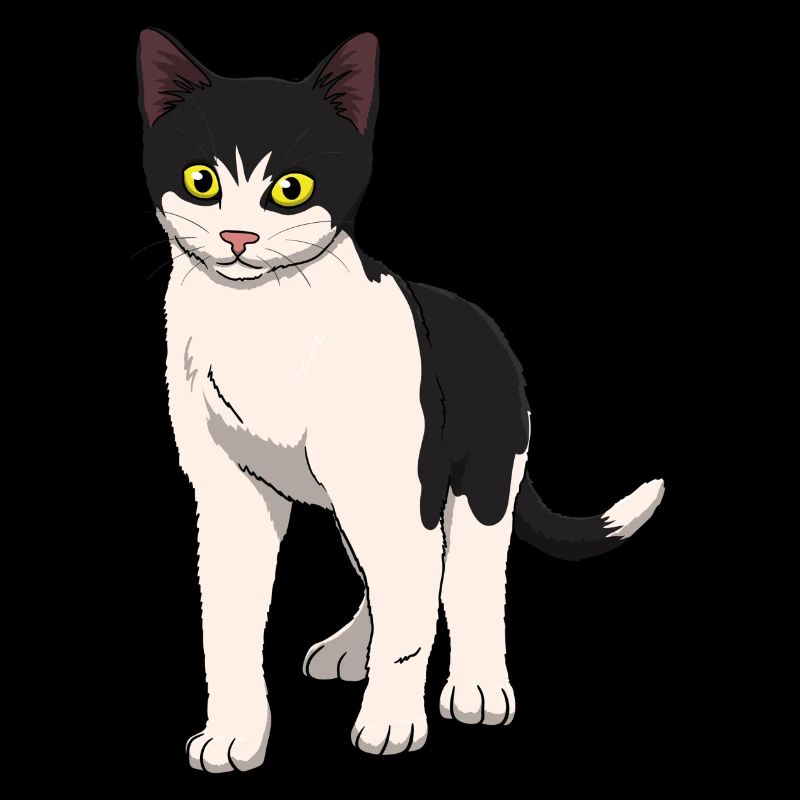 Cat Black and White