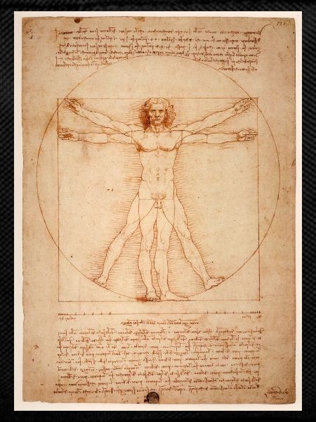 leonardo da vinci humane