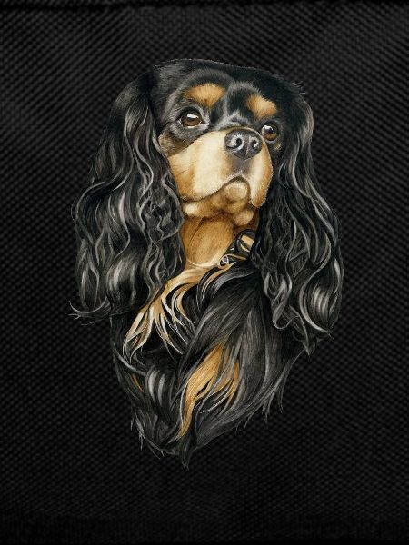 Black and Tan Cavalier