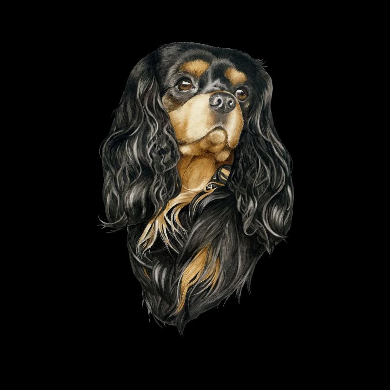 Black and Tan Cavalier