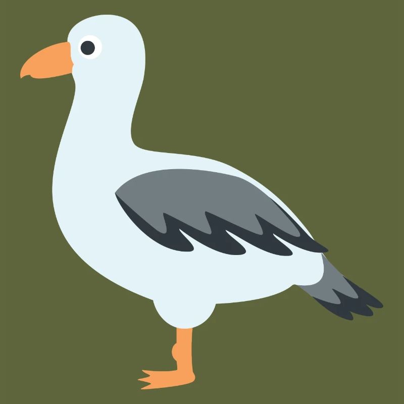 mouette