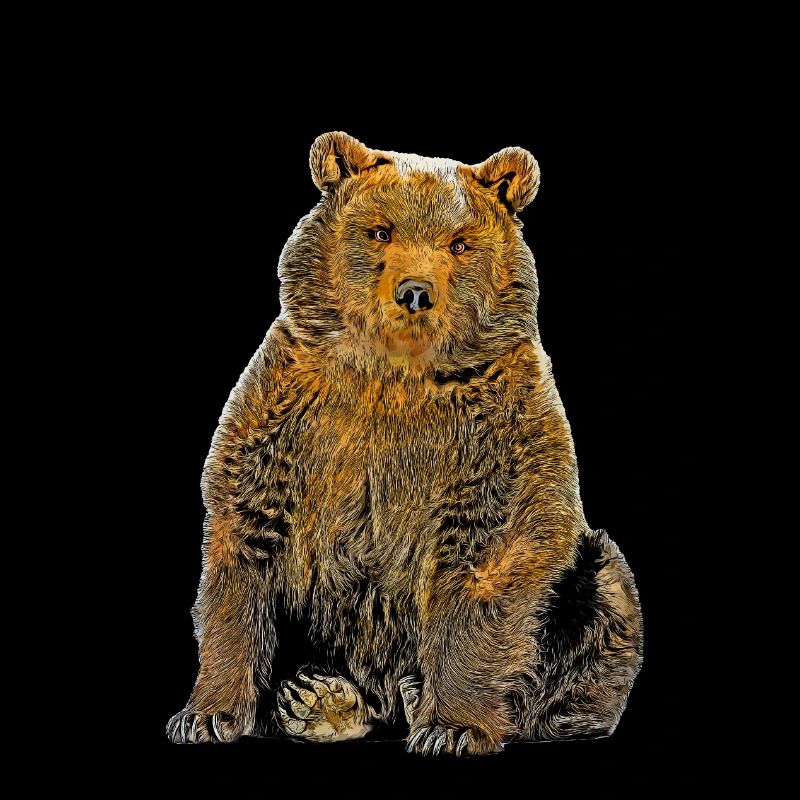 Cartoon Bear