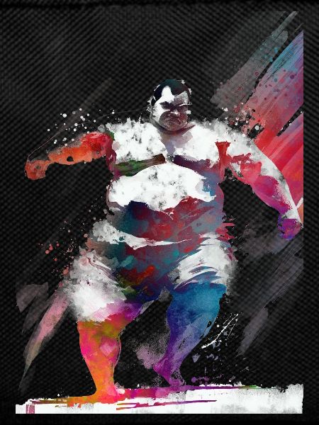 Sumo sport art #sumo