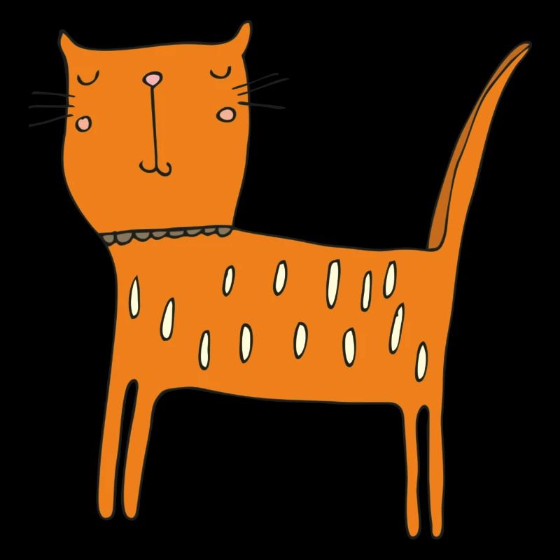 Cat Orange
