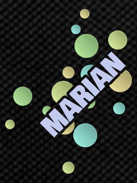Marian als Fachhochschule