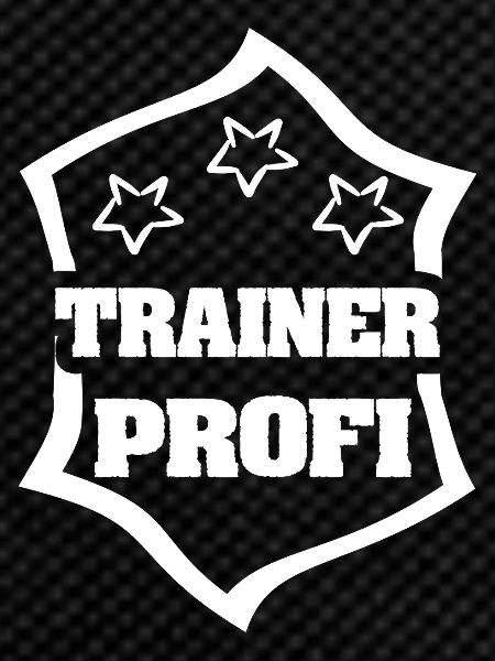Coach as a profession