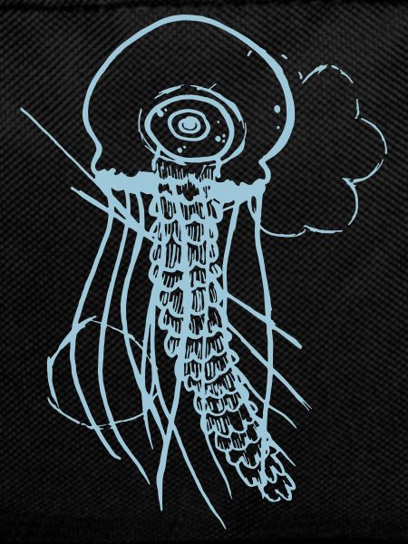 jellyfish