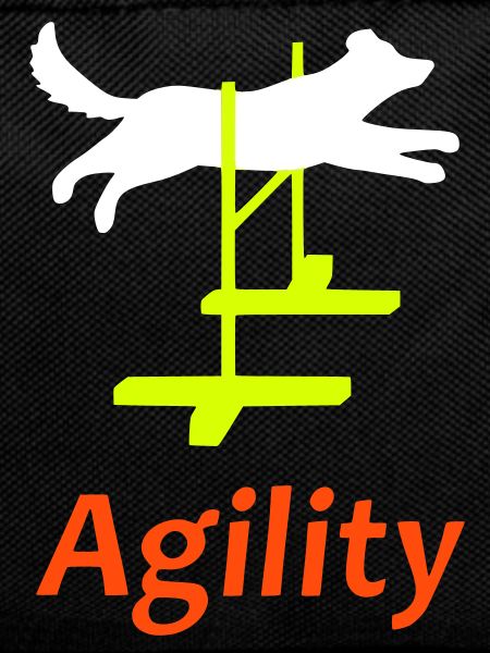 Agility 1