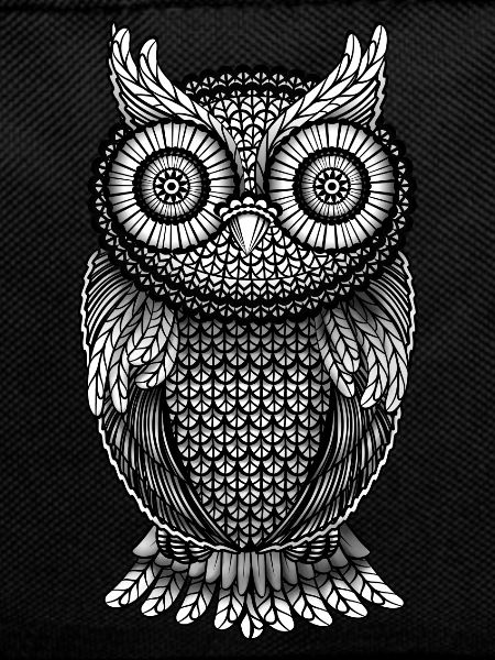 Owl owl owl