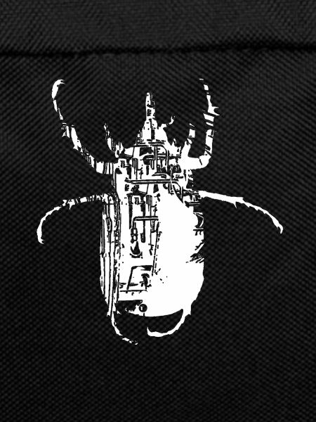 scarabée-Hex2A