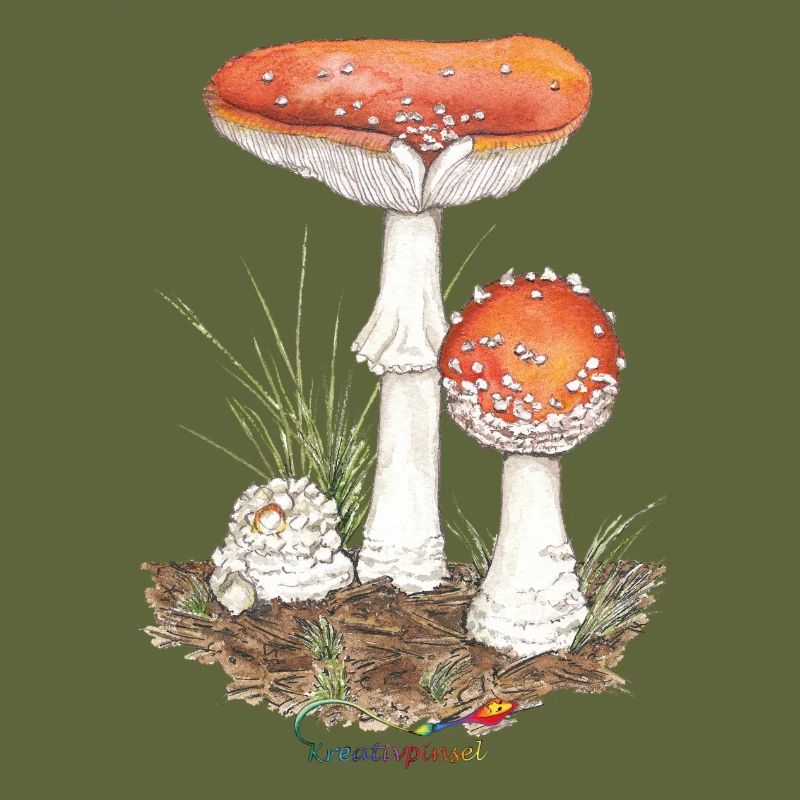 Toadstool
