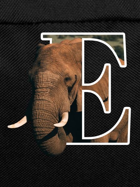 E Elephant alphabet animals