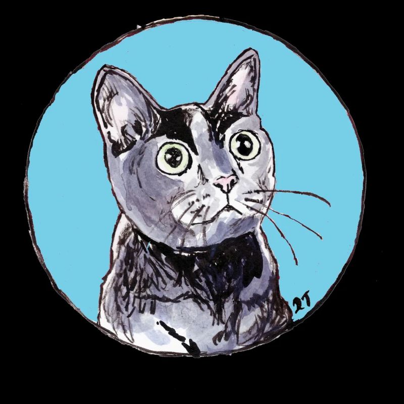 So Shiny! Blue kitty ball